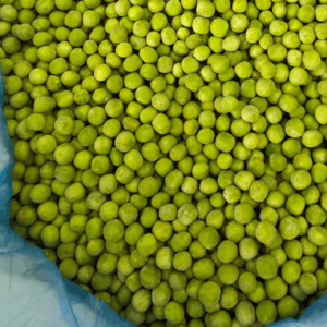 IQF Green Peas 03