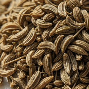 SEEDS 03