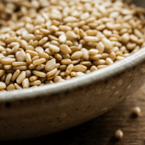 SSeeds 02
