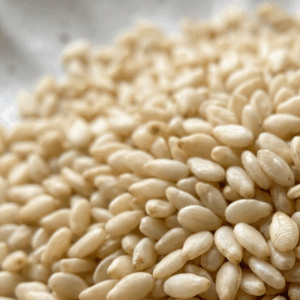 SSeeds 03